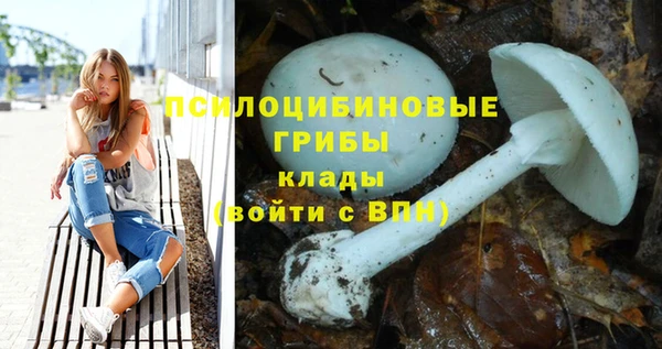 мяу мяу кристалл Баксан