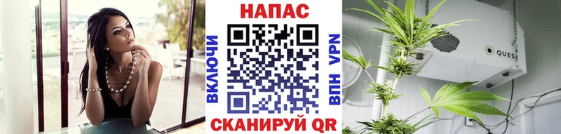 Канабис ГИДРОПОН  закладки  Козельск 